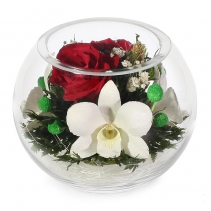Микс из цветов BSM2 Микс из цветов BSM2